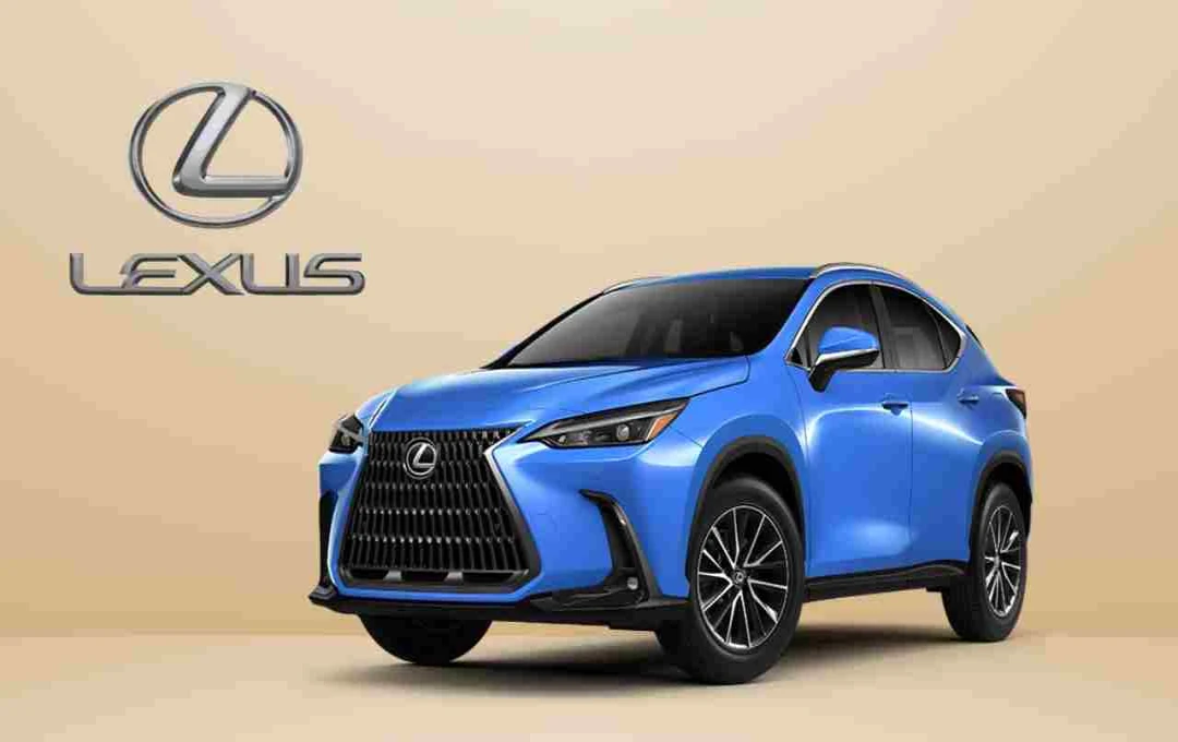 ভারতে লঞ্চ হল ২০২৫ Lexus NX, দাম ৬৮.০২ লক্ষ টাকা থেকে শুরু
