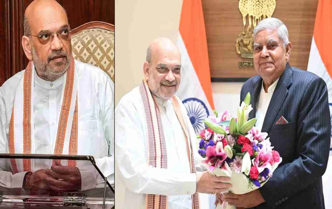 ধনখড়ের ইস্তফা: স্বাস্থ্যজনিত কারণই আসল, জানালেন অমিত শাহ