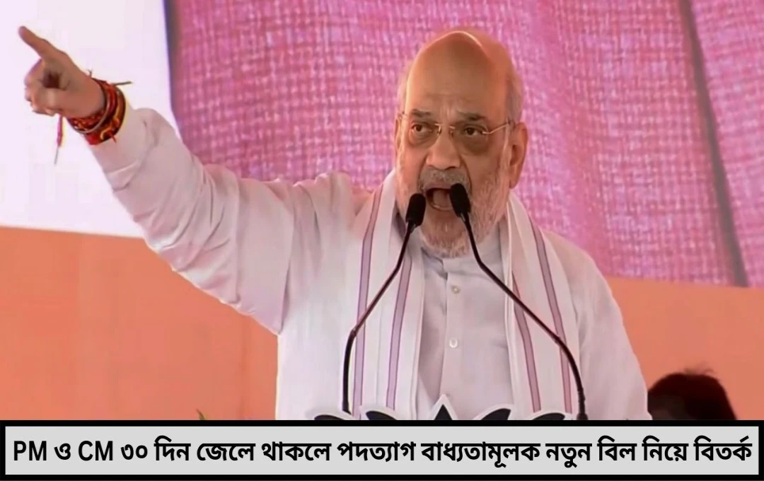 জেলে বসে সরকার চালাবে হয় নাকি অমিত শাহের কড়া কটাক্ষ
