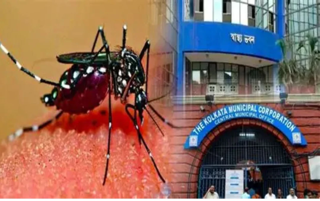 ডেঙ্গি প্রতিরোধে কলকাতা পুরসভার সতর্কবার্তা পুজো কমিটিগুলিকে নির্দেশনা