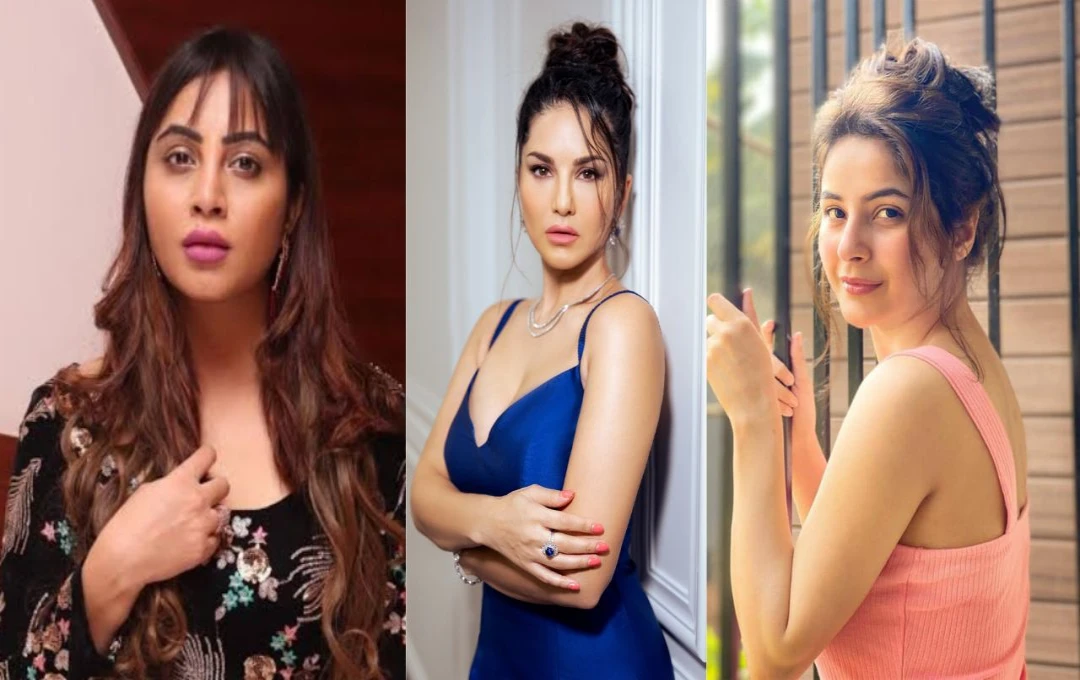 বিগ বসের মঞ্চ থেকে তারকা: কোথায় তাঁরা আজ?