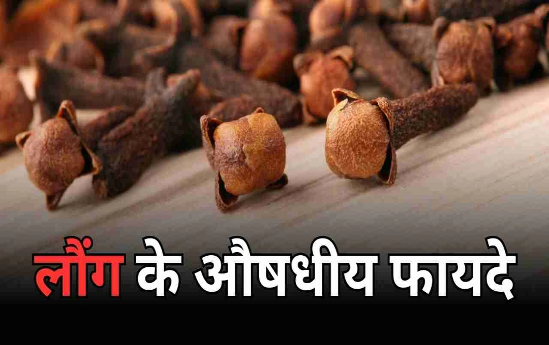 লবঙ্গের যত গুণাগুণ: স্বাস্থ্য সুরক্ষায় লবঙ্গের ব্যবহার