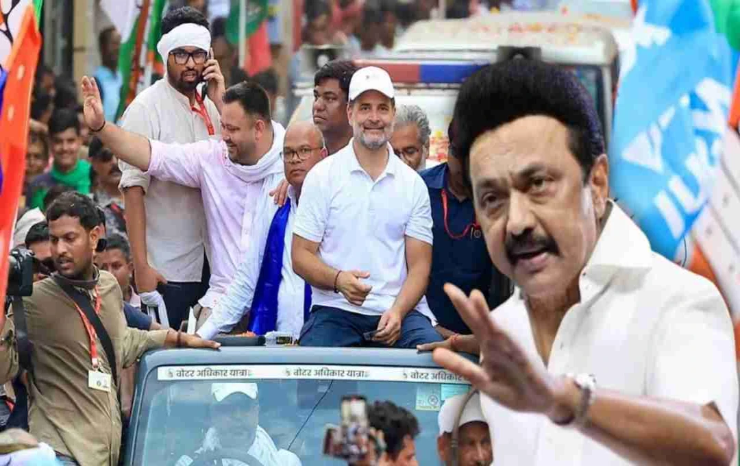 बिहार चुनाव में स्टालिन की एंट्री: महागठबंधन को सियासी फायदा मिलेगा या बीजेपी को मिलेगा नया मुद्दा?