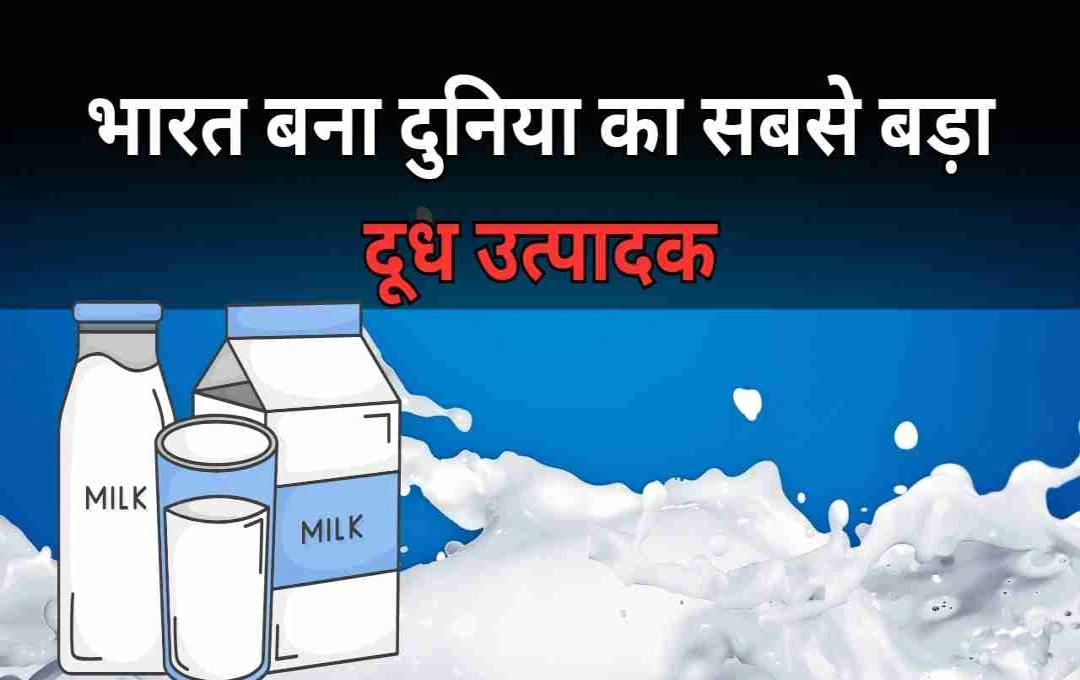 भारत बना दुनिया का सबसे बड़ा दूध उत्पादक, 12 लाख करोड़ का डेयरी मार्केट
