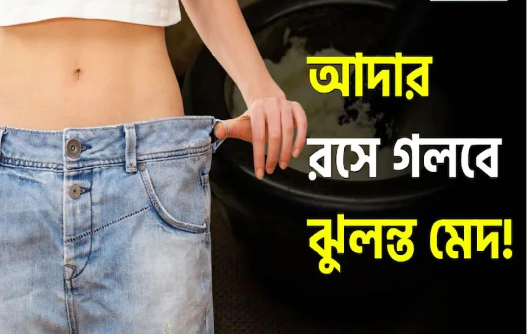 আদা খেলে কমবে ওজন বিশেষজ্ঞরা জানালেন গোপন রহস্য