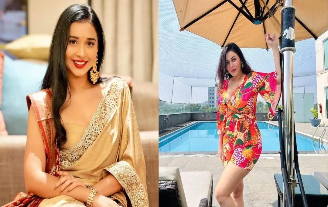 বিগ বস ১৯-এ ওয়াইল্ড কার্ড এন্ট্রি শিখা মালহোত্রা: তানিয়া মিত্তালকে প্রথম টার্গেট