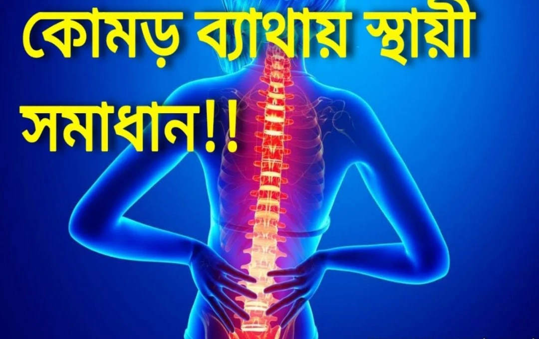ঘুম থেকে উঠেই ঘাড়–কাঁধে ব্যথা বদলান অভ্যাস মিলতে পারে টানা আরাম