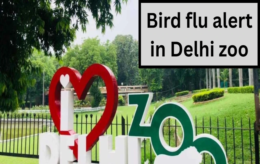 Delhi Zoo Temporarily Closed Due to Bird Flu Outbreak