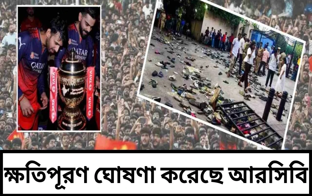 আইপিএল ২০২৫: আরসিবি সমর্থকদের জন্য দুঃসংবাদ, চিন্নাস্বামী স্টেডিয়ামে পদপিষ্ট হয়ে ১১ জনের মৃত্যু, ক্ষতিপূরণ ঘোষণা