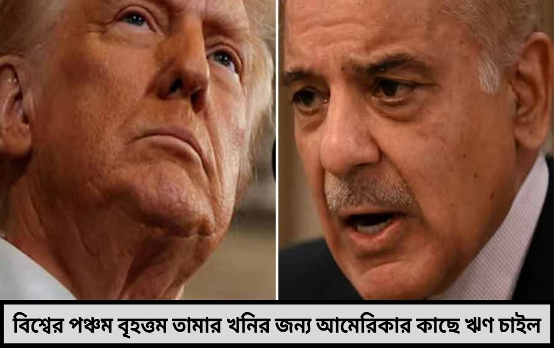 পাকিস্তানের বালোচিস্তানে বিশ্বের পঞ্চম বৃহত্তম তামার খনি ঘিরে ঋণ বিতর্ক