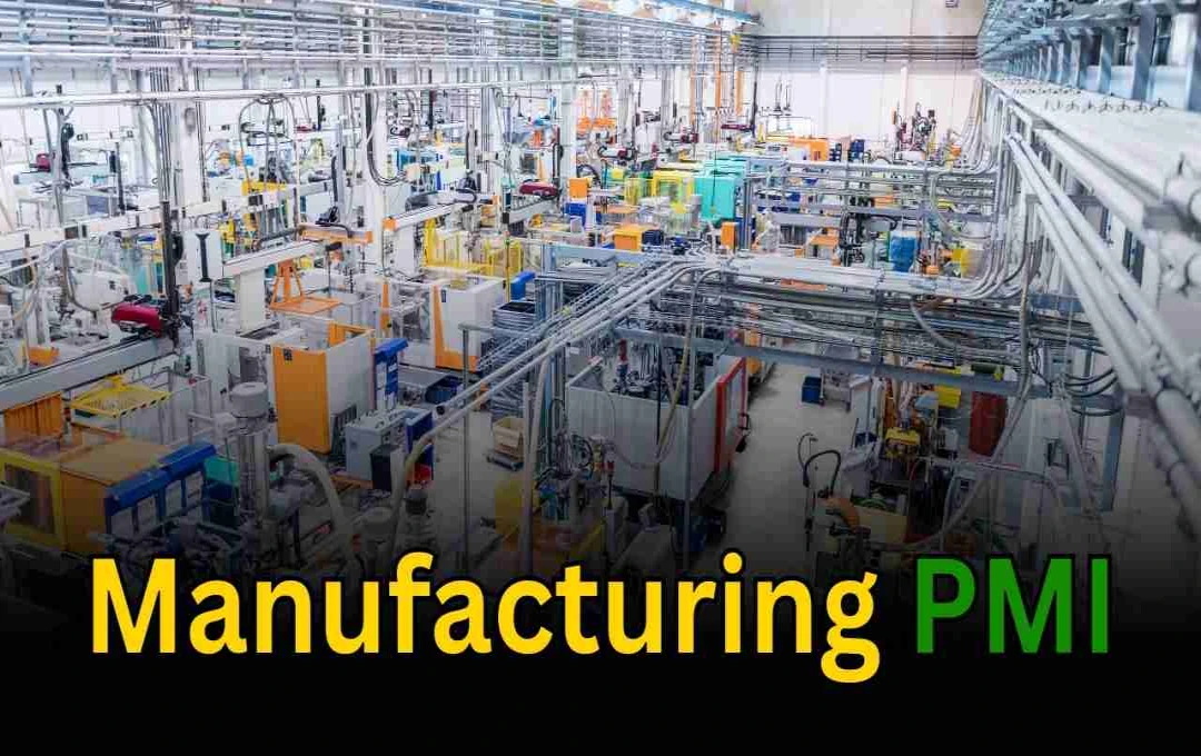 अगस्त में मैन्युफैक्चरिंग PMI ने तोड़ा 17 साल का रिकॉर्ड, प्रोडक्शन और डिमांड ने पकड़ी रफ्तार