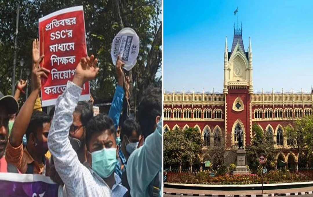 হাই কোর্টে টেন্টেড প্রার্থীদের আর্জি নতুন নিয়োগে অংশগ্রহণের দাবি