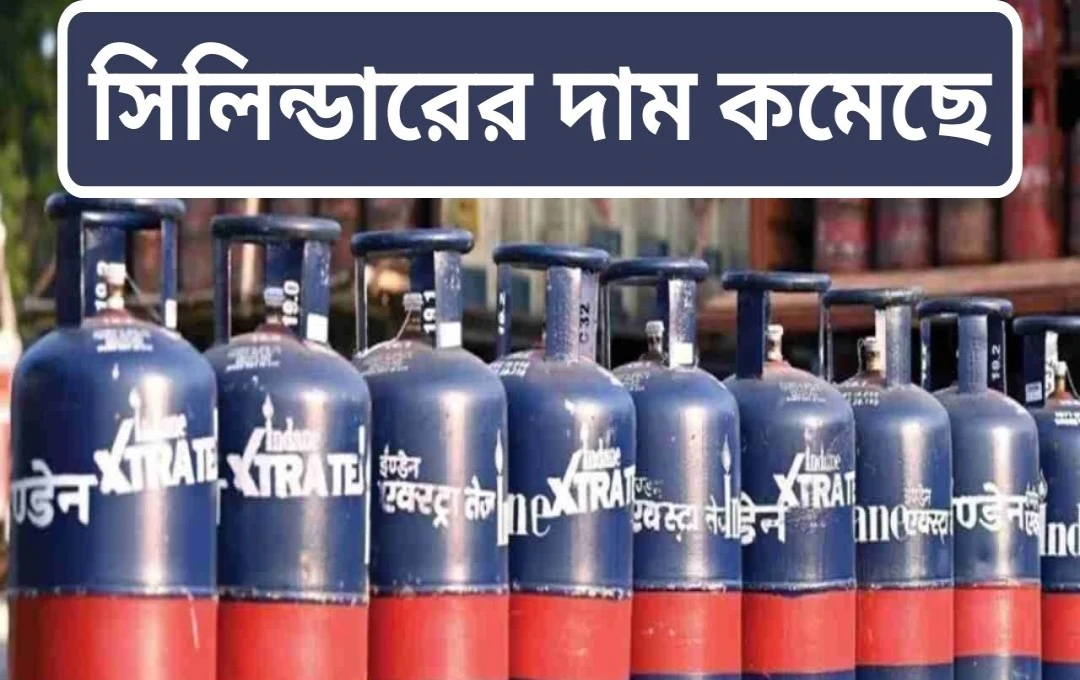 জয়পুরে বাণিজ্যিক এলপিজি সিলিন্ডারের দাম কমল ৫১ টাকা, হোটেল-রেস্তোরাঁ মালিকদের স্বস্তি