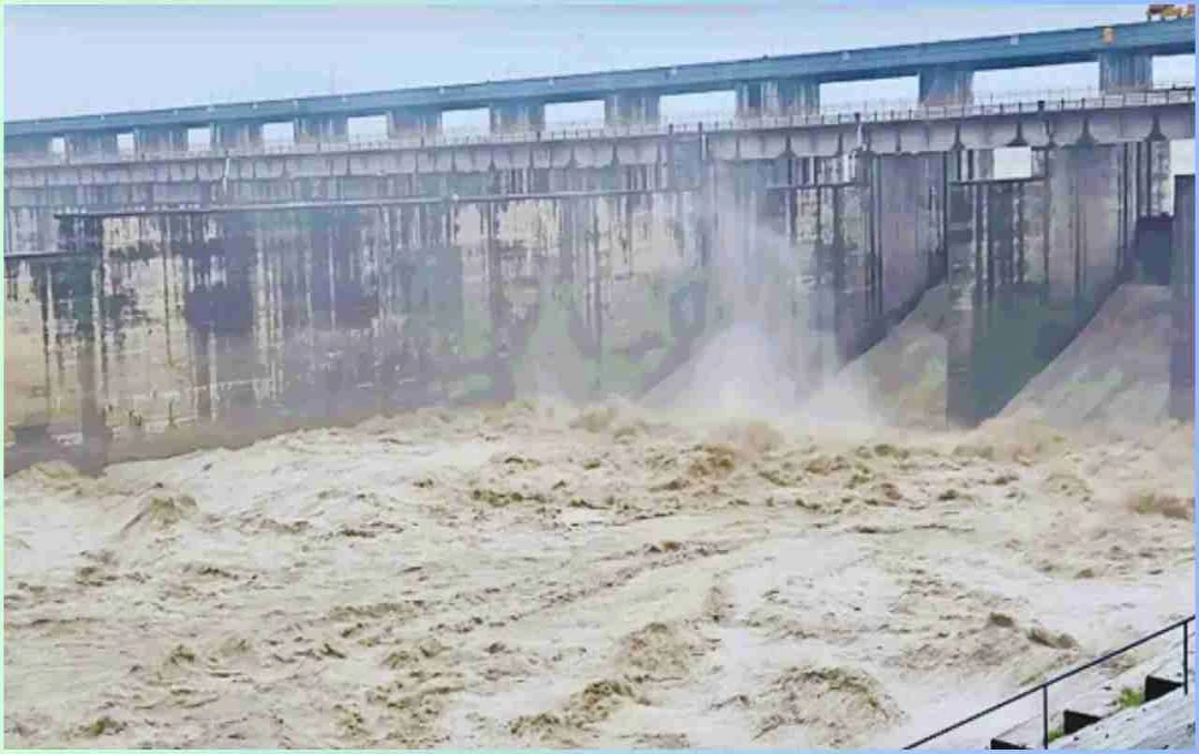 हथिनीकुंड बैराज पर यमुना में बहती लकड़ी पकड़ने वालों की भीड़, प्रशासन ने दी चेतावनी