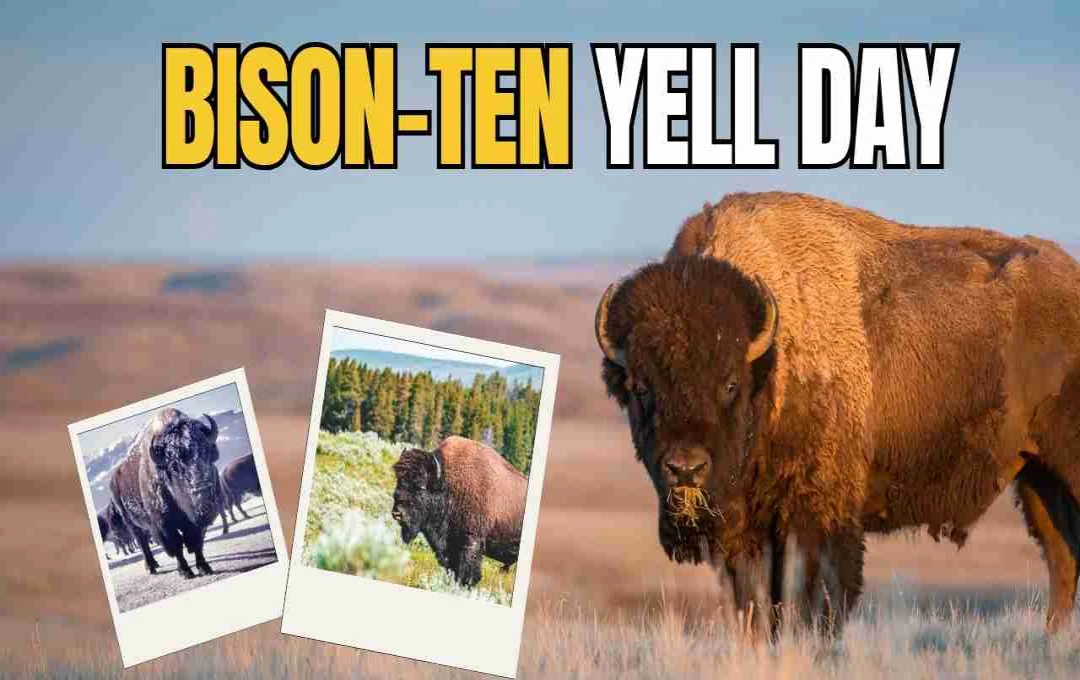 Bison-ten Yell Day: हास्य और रचनात्मकता का मजेदार दिन