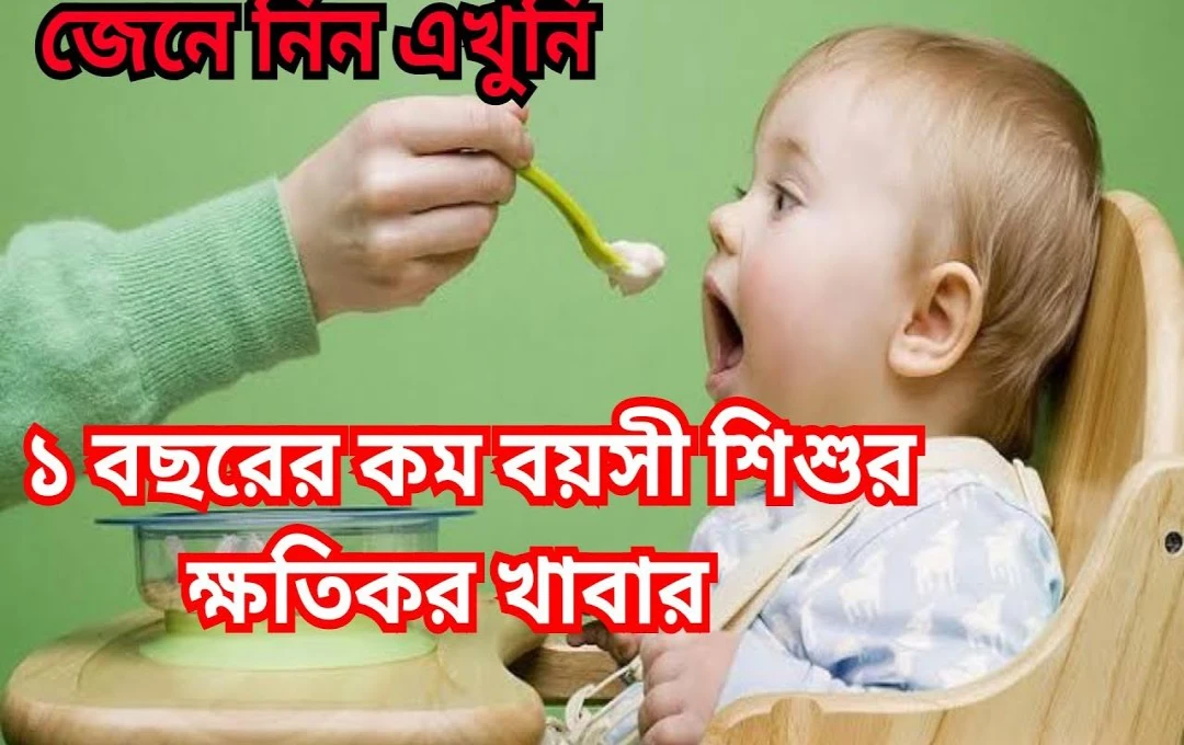 খুদে শিশুর জন্য হজমযোগ্য সলিড খাবারের পরামর্শ ১ বছরের শিশুদের নিরাপদ ও স্বাস্থ্যকর ডায়েট