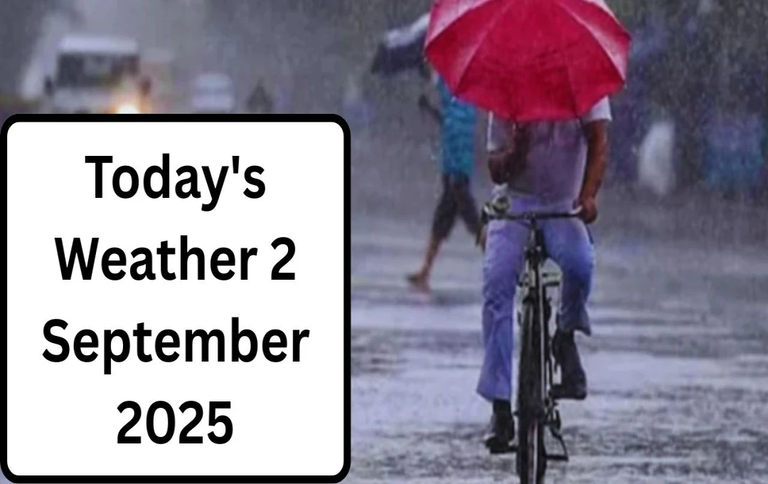 Rajasthan Grapples with Severe Monsoon Rains, Met Department Issues Red Alert for 7 Districts