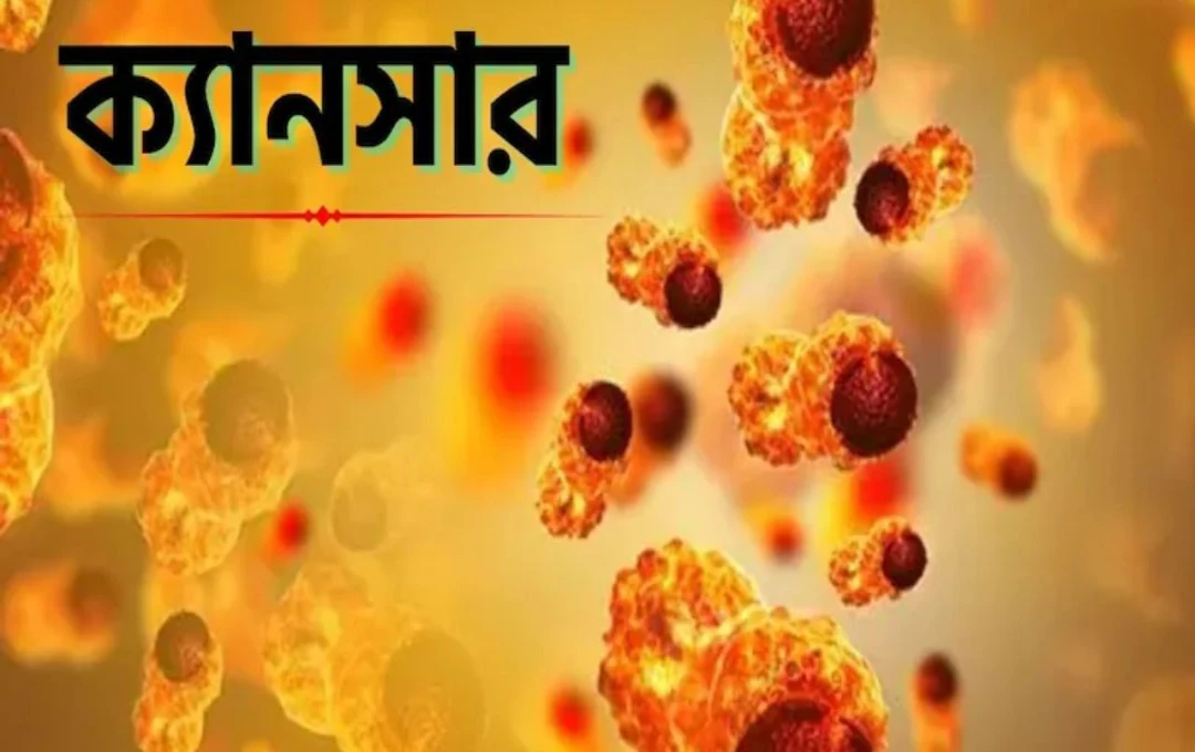 ১৫ খাবার... ক্যানসারের ঝুঁকি বাড়ায় নীরবে গবেষণায় চমকপ্রদ তথ্য