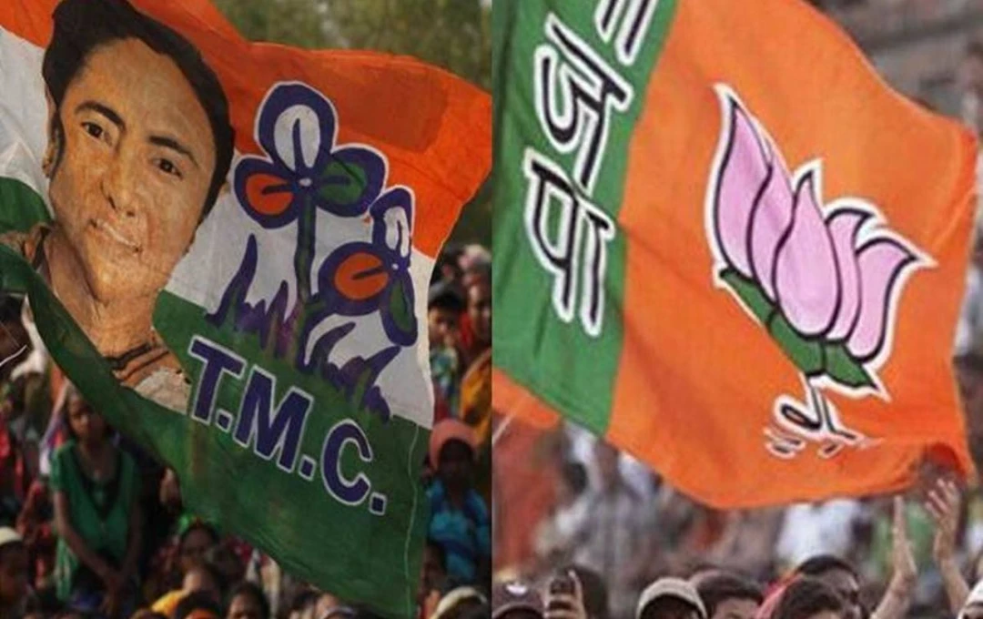 পানাগড়ে তৃণমূল-বিজেপি সংঘর্ষ ‘চোর চোর’ স্লোগান ভাসলো বাজারে