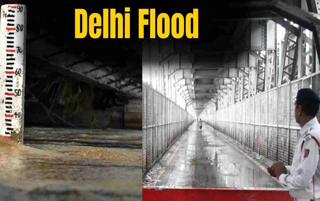 Yamuna River Water Level Surges Above Danger Mark in Delhi, Disrupting Transport and Causing Alert