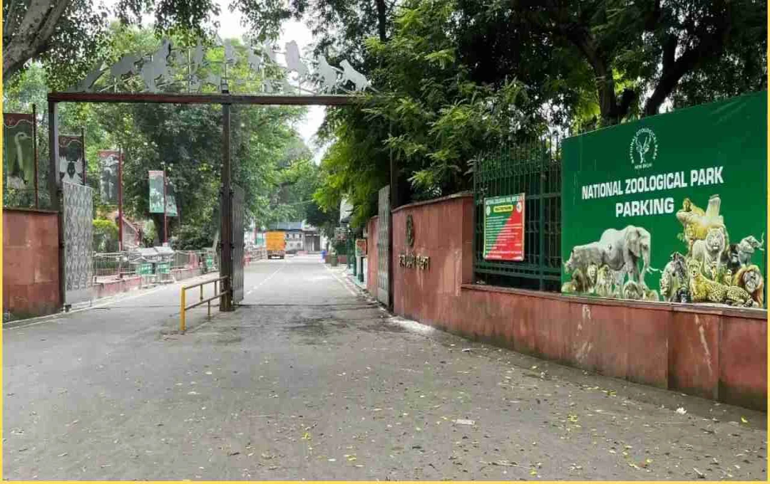 बर्ड फ्लू के चलते दिल्ली नेशनल जूलॉजिकल पार्क में प्रशासन ने बढ़ाई निगरानी