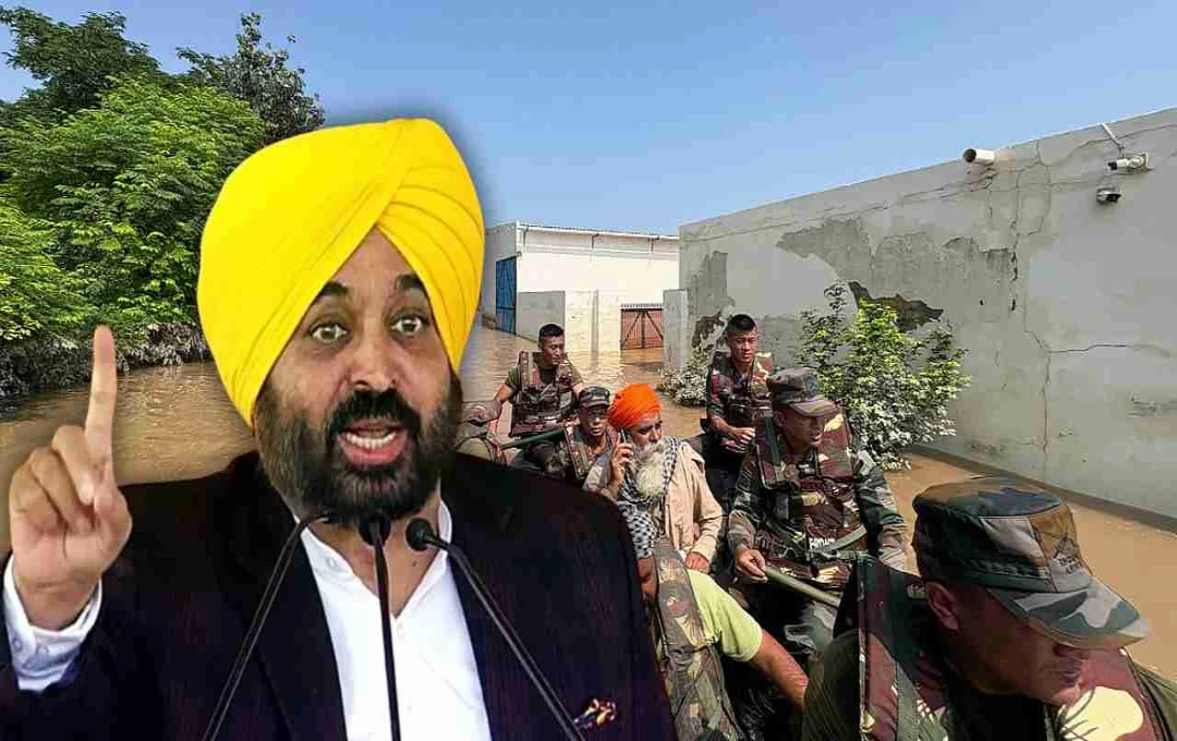 Punjab Declared Disaster-Affected Region as Devastating Floods Submerge 3.75 Lakh Acres of Crops