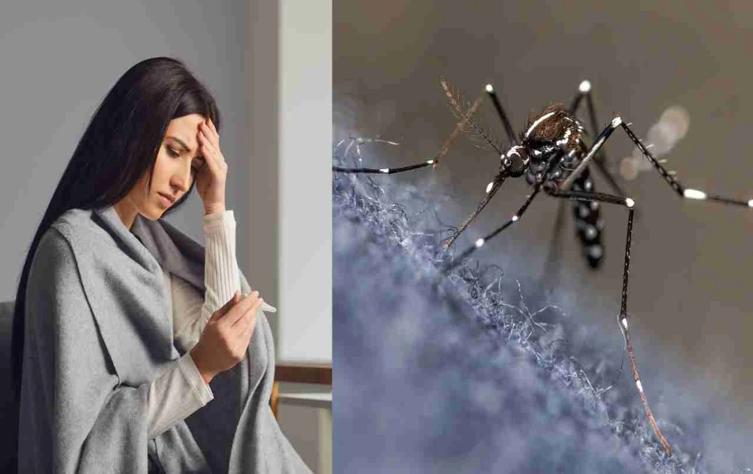 বর্ষায় ডেঙ্গু ও টাইফয়েড: পার্থক্য, উপসর্গ এবং প্রতিরোধের উপায়
