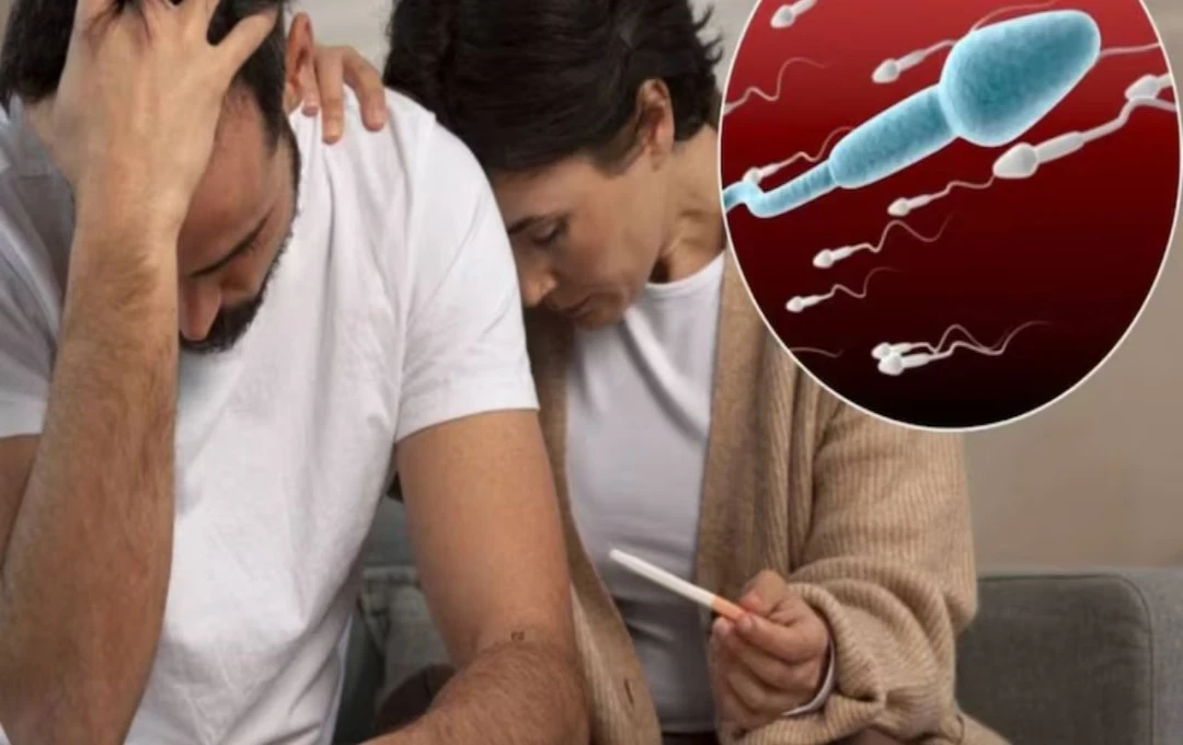 পুরুষত্বহীনতা থেকে অকাল বীর্যপাত সারাতে পারে গ্রামবাংলার আগাছা কন্টিকারি!