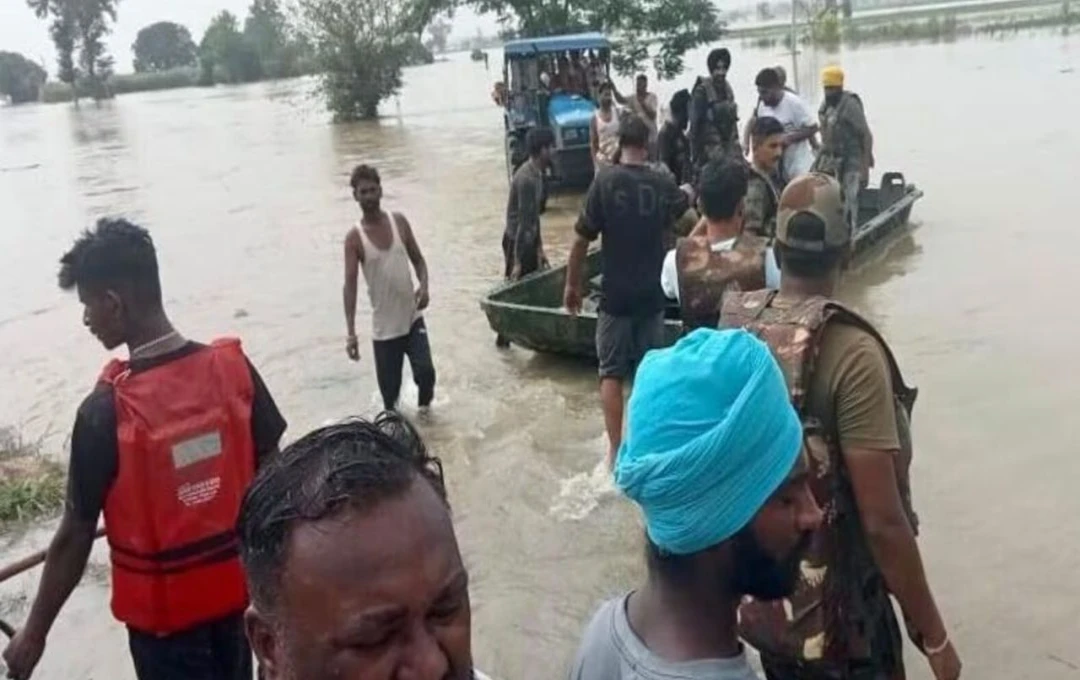 চার দশকের মধ্যে সবথেকে ভয়াবহ বন্যা পঞ্জাবে, ২৩ জেলা জলমগ্ন, নিহত কমপক্ষে ৩৭