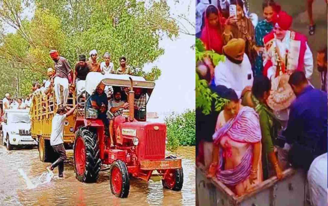 होशियारपुर में अनोखी शादी, घुटनों तक पानी के बिच दूल्हा ट्रैक्टर पर बारात लेकर पहुँचा जालंधर