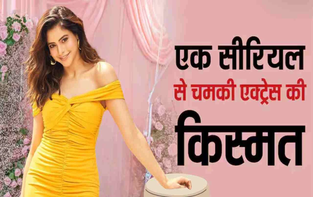 आमना शरीफ टीवी शो 'कहीं तो होगा' से बनीं स्टार, अब ओटीटी पर कर रही हैं कमबैक
