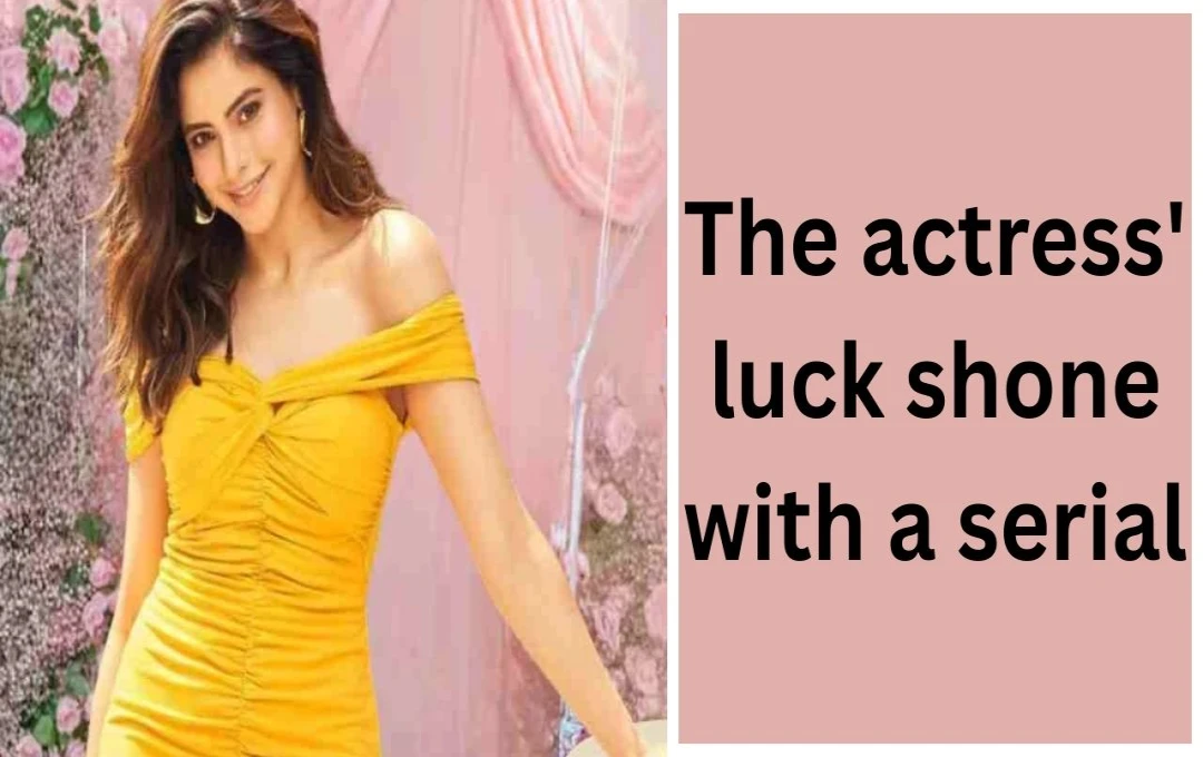 Aamna Sharif: From Television Stardom to Bollywood and OTT Comeback