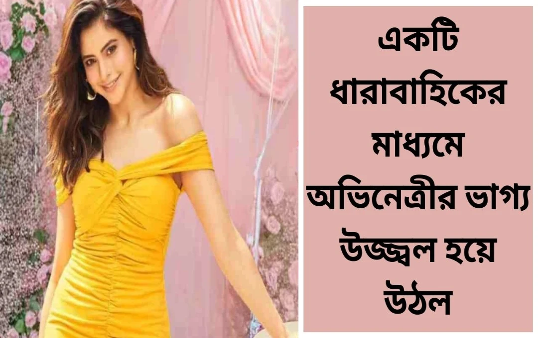 আমনা শরীফের বর্ণময় যাত্রা: ছোট পর্দা থেকে বলিউড এবং ওটিটি