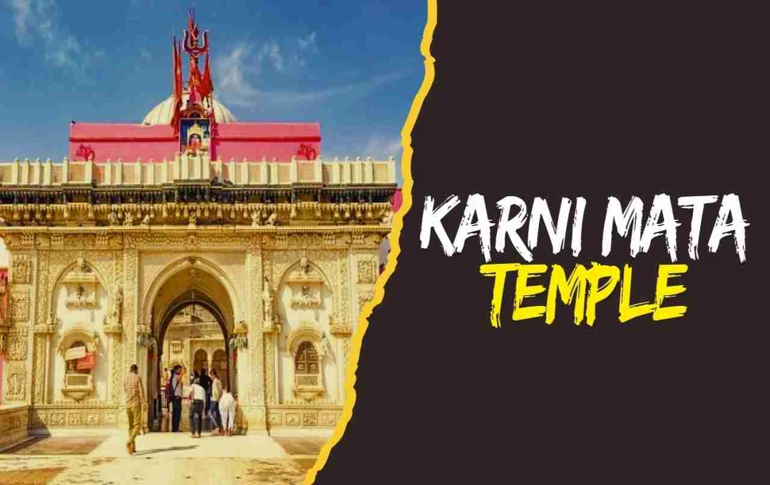 করণী মাতা মন্দির: রাজস্থানের পবিত্র ভূমি ও কাবা ইঁদুরের অলৌকিক স্থান