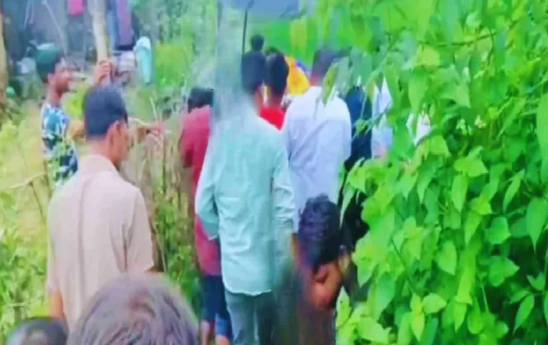 বালাঘাটে শবযাত্রাকে কাদা-মাটি পেরিয়ে শ্মশানে নিয়ে যাওয়ার দৃশ্য ভাইরাল, ক্ষোভের মুখে প্রশাসন