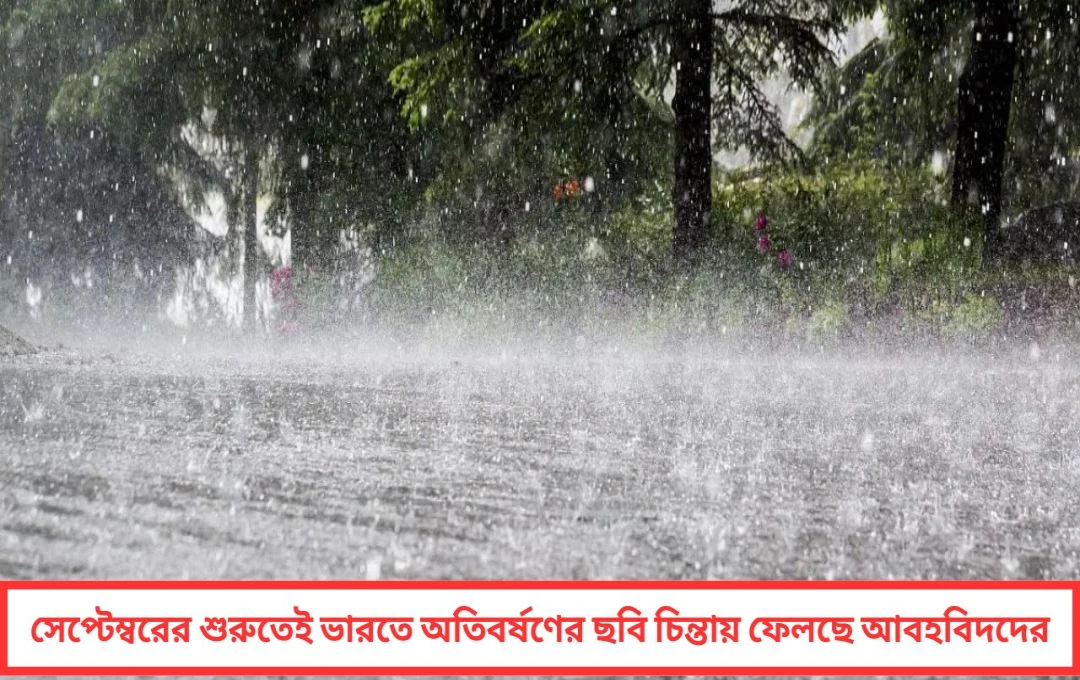 সেপ্টেম্বরে অতিবর্ষণ: মাত্র এক সপ্তাহেই ৪৮% বেশি বৃষ্টি, জানাল IMD