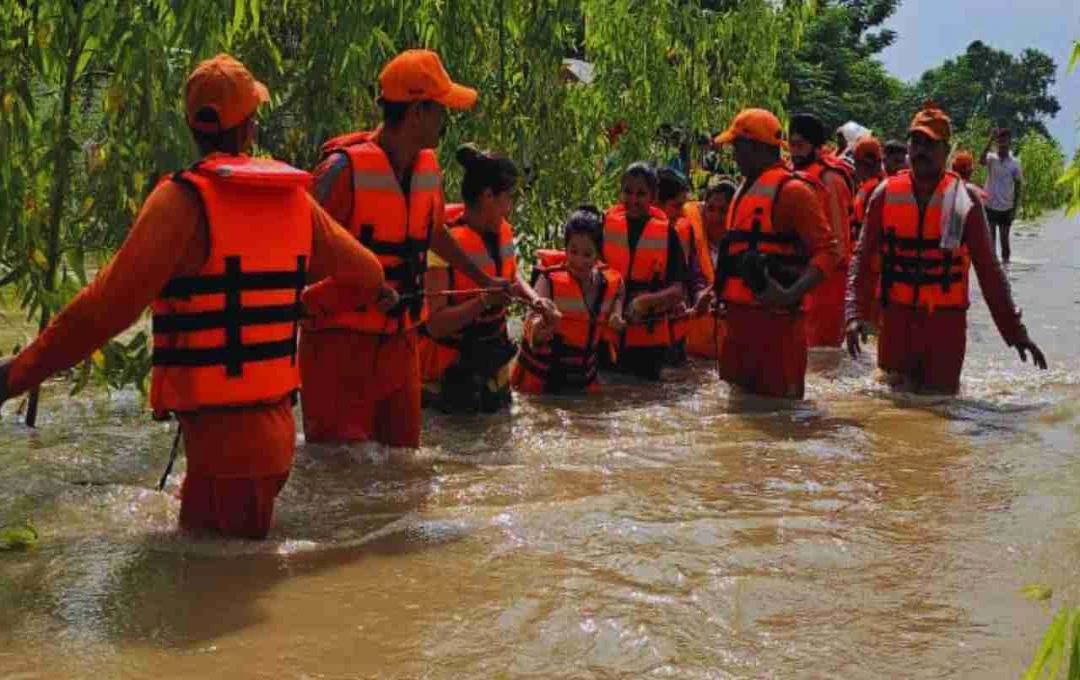 রাভি নদীর বন্যায় ভারত-পাকিস্তান সীমান্ত লন্ডভন্ড: ৩০ কিমি বেড়া ধ্বংস, বিএসএফ চৌকি নিমজ্জিত