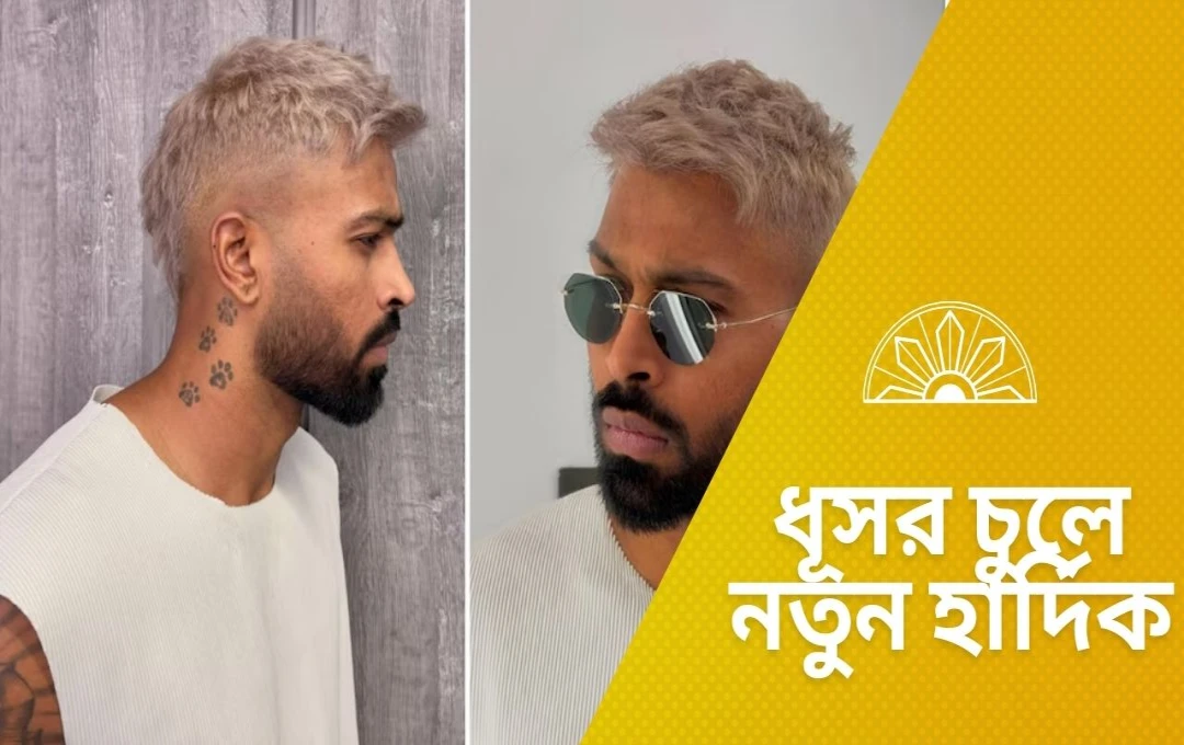 নতুন লুকে হার্দিক ধূসর চুলে ভক্তদের চমক
