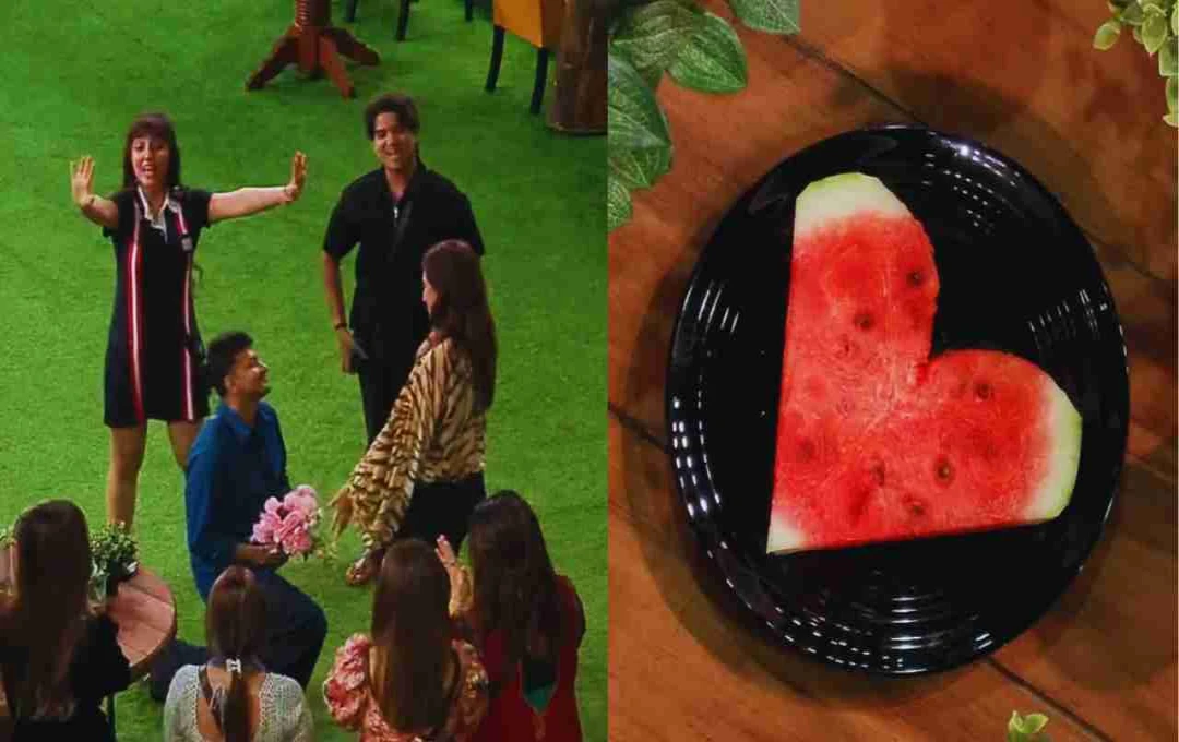 బిగ్ బాస్-19: 8 ఏళ్ల ప్రేమకు సినిమాటిక్ ప్రపోజల్! ఆవేస్ దర్బార్, నగ్మా మిర్జా ప్రేమ కథ