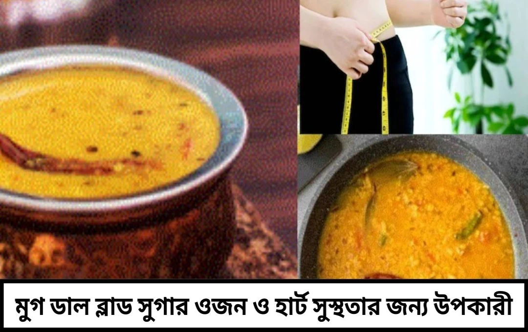ডাল খেলে নিয়ন্ত্রণে রাখুন ব্লাড সুগার, ওজন ও হার্ট সুস্থতা