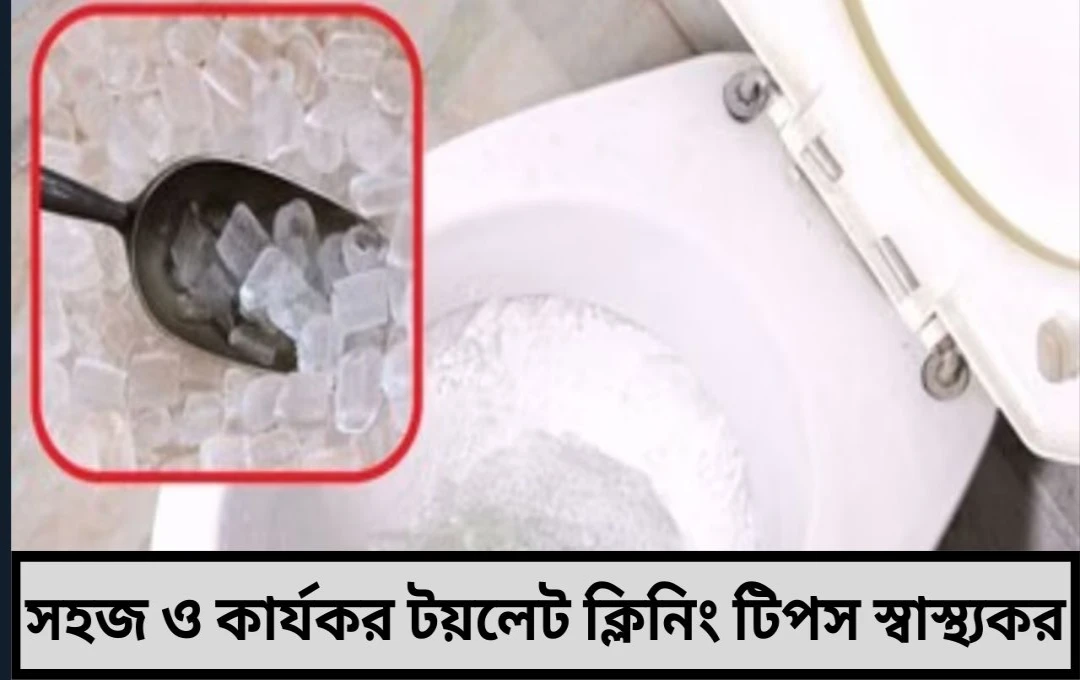 টয়লেট পরিষ্কার করার সহজ টিপস: বরফ দিয়ে ঝলমলে কোমোড