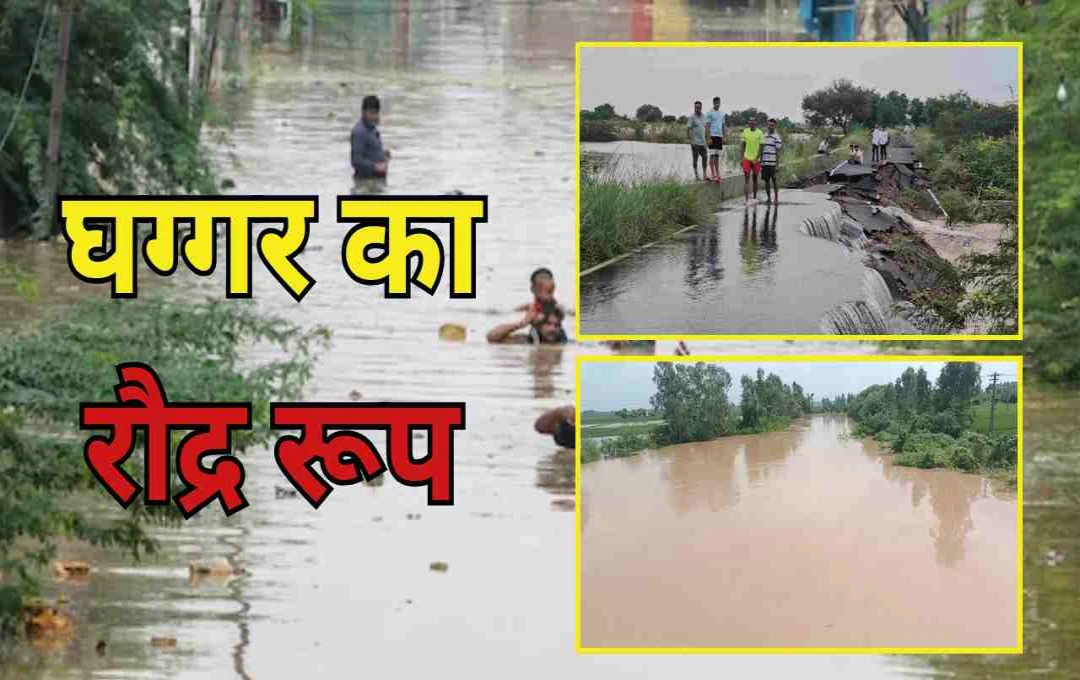 हरियाणा में घग्गर नदी का उग्र रूप: सिरसा, फतेहाबाद और कैथल में बाढ़, बहादुरगढ़ में सेना तैनात
