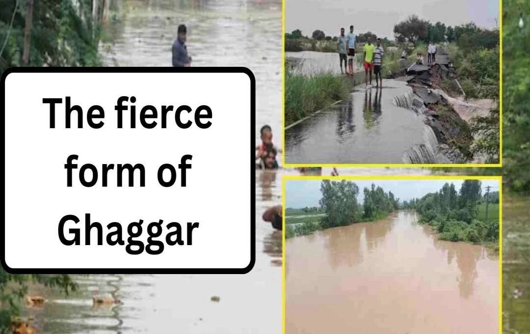 Haryana Floods: River Levels Decline in Some Districts Amidst Critical Situation, Army Deployed