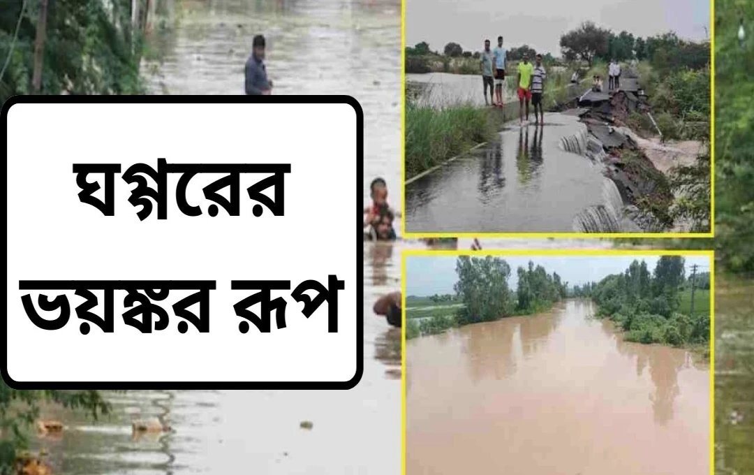 হরিয়ানায় বর্ষা-বিধ্বস্ত বন্যা: ফসল ও বসতভিটা ক্ষতিগ্রস্ত, ত্রাণ তৎপরতা জোরদার