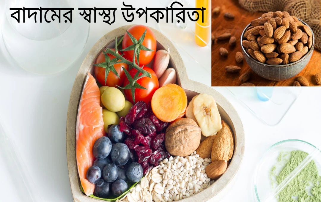 বাদামের আশ্চর্য উপকারিতা: প্রতিদিন খেলে বাড়বে ৫ ক্ষমতা, ওজনও কমবে


