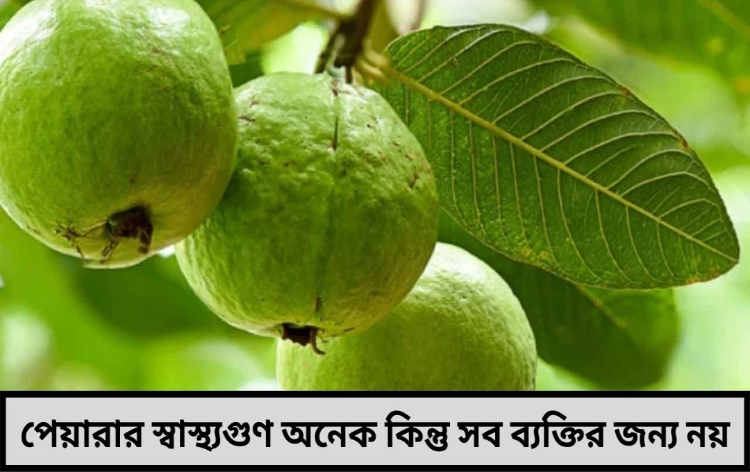 পেয়ারার স্বাস্থ্যগুণ থাকলেও এই চারটি সমস্যা থাকলে খাওয়া যাবে না