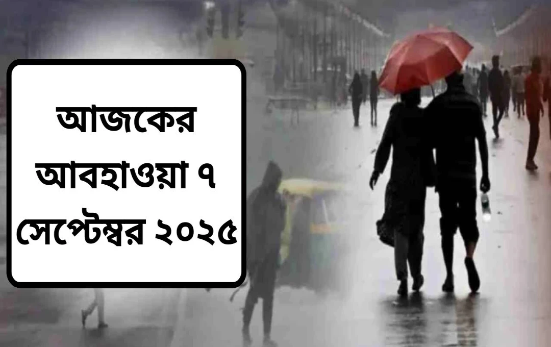 দেশজুড়ে ভারী বৃষ্টি: দিল্লি, উত্তরপ্রদেশ, বিহার, পাঞ্জাব ও রাজস্থানে সতর্কতা জারি