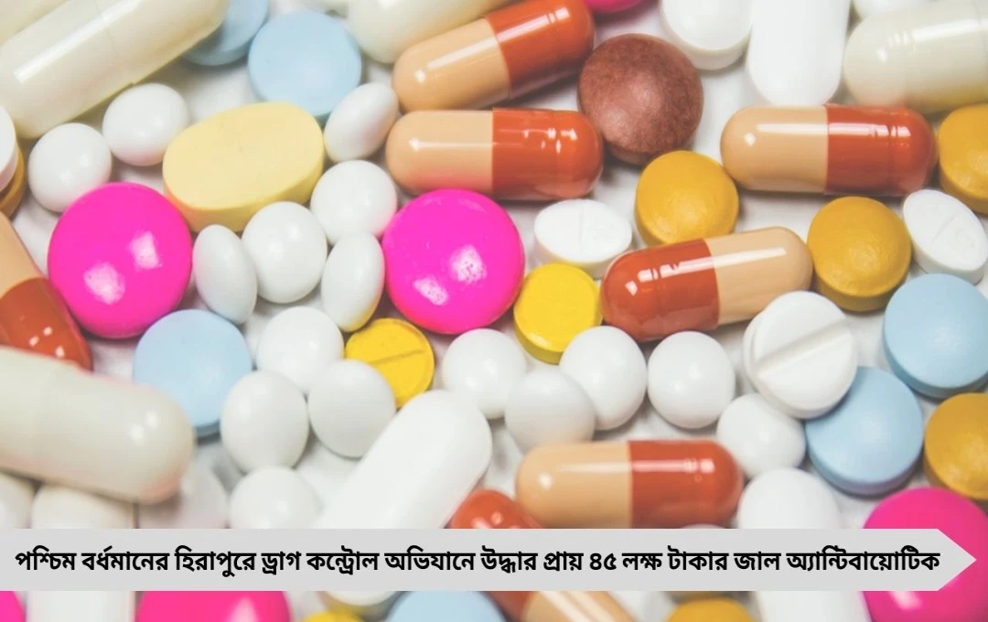 হিরাপুরে হানা: উদ্ধার ৪৫ লক্ষ টাকার জাল অ্যান্টিবায়োটিক-পেইন কিলার
