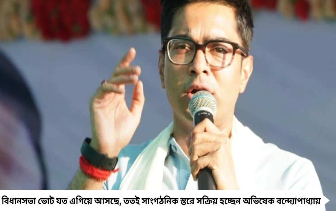 দমদম-ব্যারাকপুরে তৃণমূল নেতাদের সঙ্গে বৈঠকে বসবেন অভিষেক