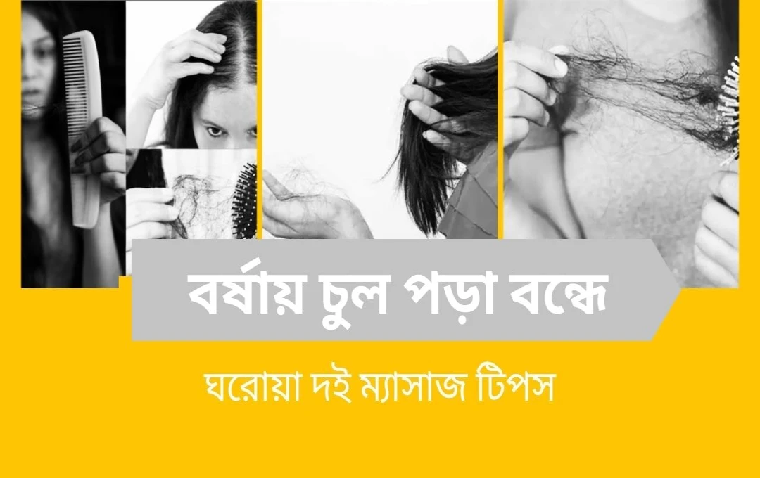 বর্ষায় চুল পড়া বন্ধ করতে ঘরোয়া দই ম্যাসাজ! আয়ুর্বেদ বলছে কার্যকর উপায়